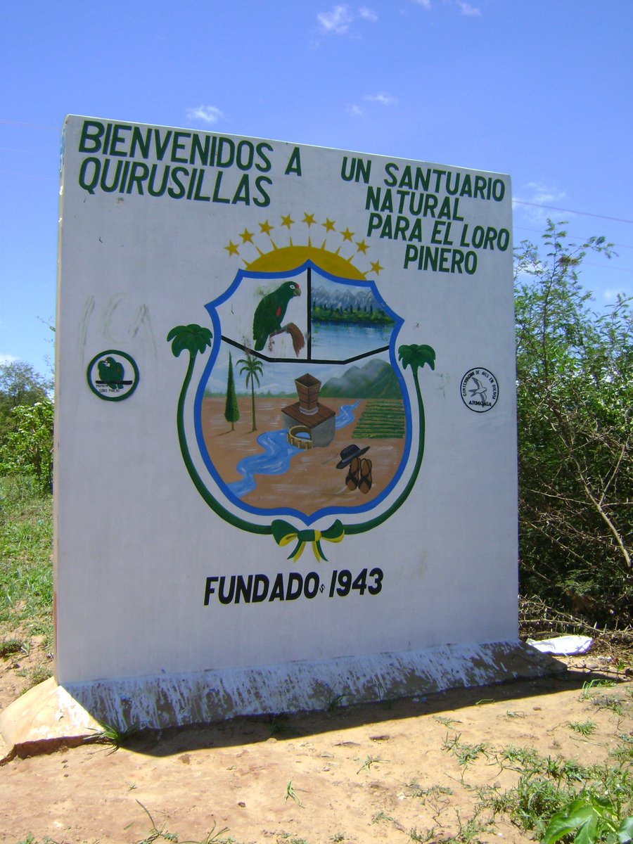 armonia_bolivia's tweet photo. In 2009 the municipality of Quirusillas recognized the Tucumán Parrot as a natural heritage symbol and its image is now included in the municipal coat of arms. The mayor of Quirusillas signed a declaration to support a ban on the parrots capture&amp;trade➡ https://t.co/2vA8XwMs31 https://t.co/IjFAU4hWgw