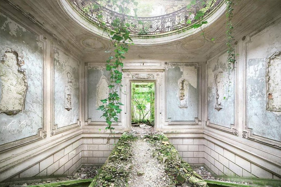 thespacesmag's tweet photo. #theforgottenspaces: plants and decadence by Instagramer urbexproject78 https://t.co/Vl4PgspIKK