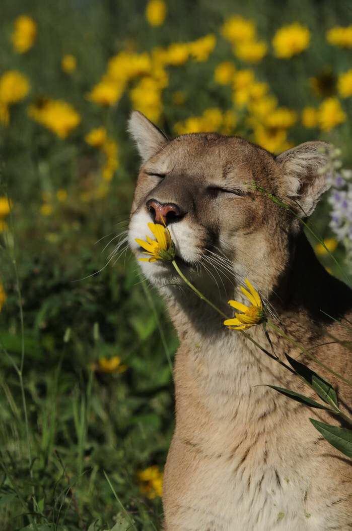 🔥NatureIsFuckingLit🔥 tweet media