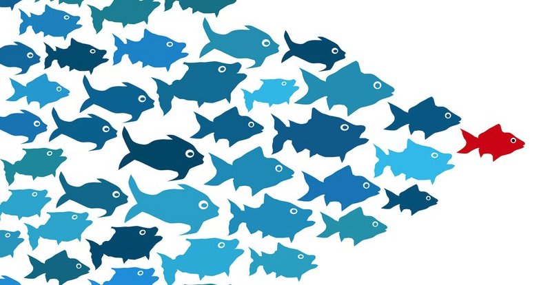 Chris Lukehurst tweet media