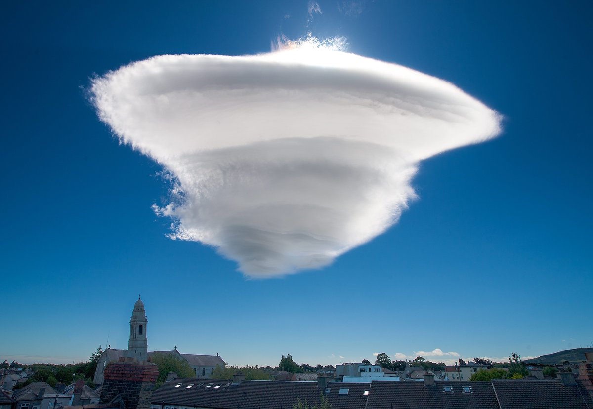 🔥NatureIsFuckingLit🔥 tweet media