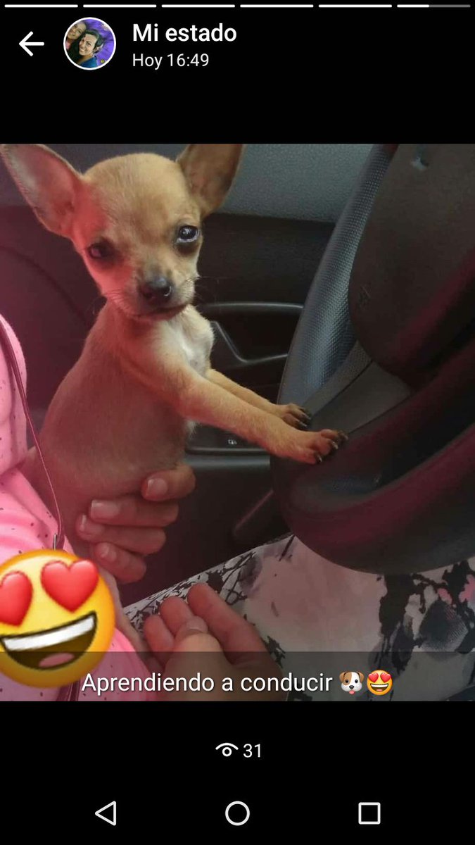 maremfit's tweet photo. Les presento a mi lila, ella es la más posuda #tropican. Feliz y relajada escuchando @TropiBogota https://t.co/0KOASIerZb