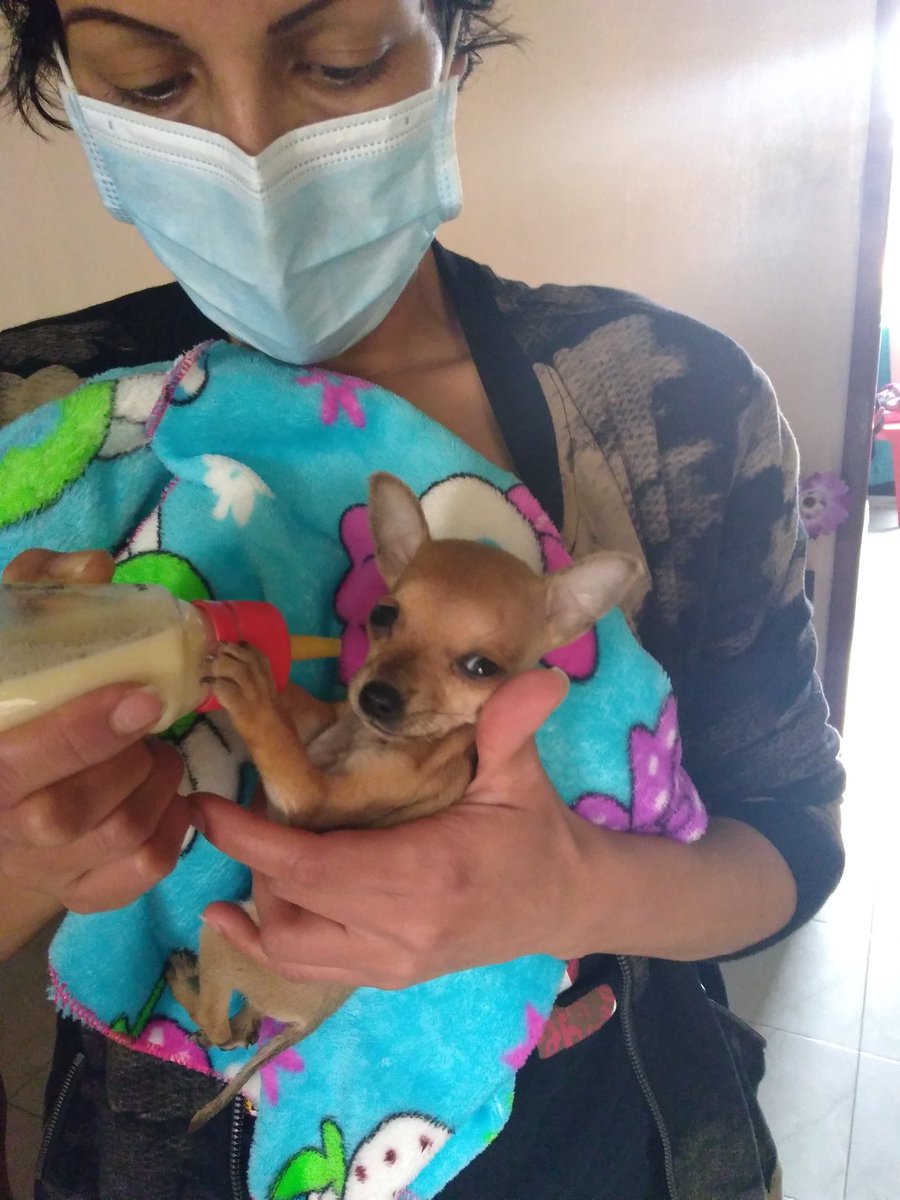 maremfit's tweet photo. Les presento a mi lila, ella es la más posuda #tropican. Feliz y relajada escuchando @TropiBogota https://t.co/0KOASIerZb