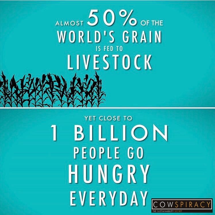 VeganEffect's tweet photo. #Vegan #ThursdayMotivation #Food
Image by - Cowspiracy https://t.co/yQsZVMh1hp