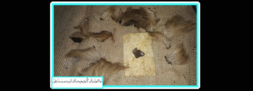 mousestravil's tweet photo. @besho81011 عندي : هدية  #فائز بوظيفه مظمون تحت الديل   #اشوف  #فيه مهر #سفر 

#سفير_مظمون  وظيفه وريني #العمل https://t.co/I9ARFWW2dX