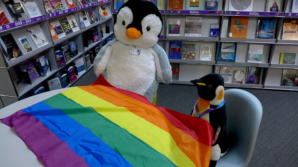 This is as close as we are going to get without hiring an actual flagpole to "flying the flag" for #LGBTQI (and all the other letters, I don't want any to feel left out) #PrideMonth.  One of the things I love most about libraries is how they make everyone feel equally welcome