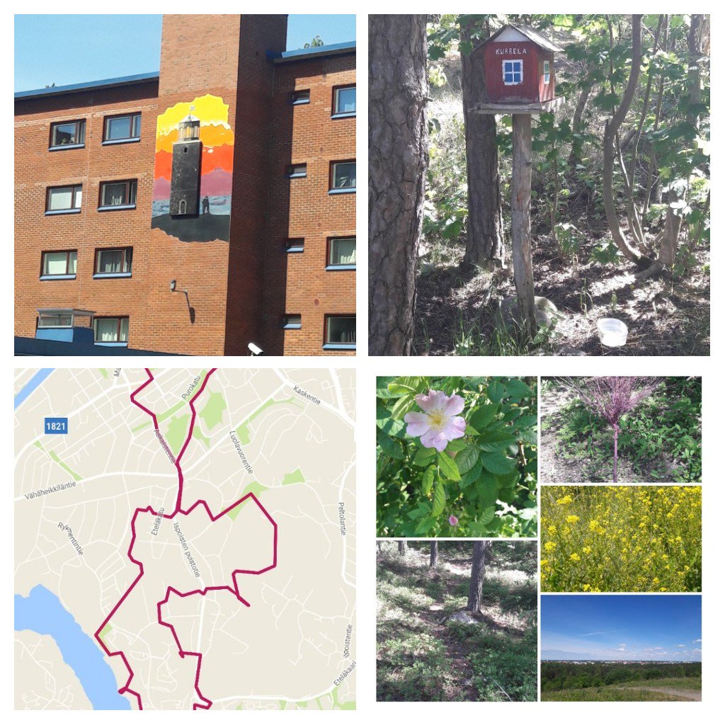 KatSoMus's tweet photo. #paavonpolut kuljetti tänään 13km edestä. Pitikin luvata treenata tytön treenatessa... #kesätreeni #lupauksetpidetään #urheilijanäiti https://t.co/czSTNHED3l