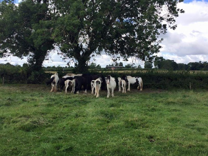 Equi-Signs tweet media