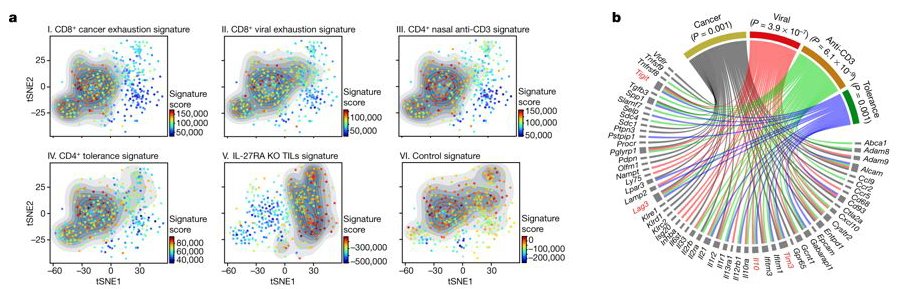 mmw_lmw's tweet photo. The #CoInhibitory #GeneModule in CD4 and CD8 T cells | Several CoInhibitory Receptors expressed as a module | Induced by #IL27 | Vijay Kuchroo @harvardmed @BrighamWomens @Nature https://t.co/3aL7Om6pdn https://t.co/bC5eOOUL2Y