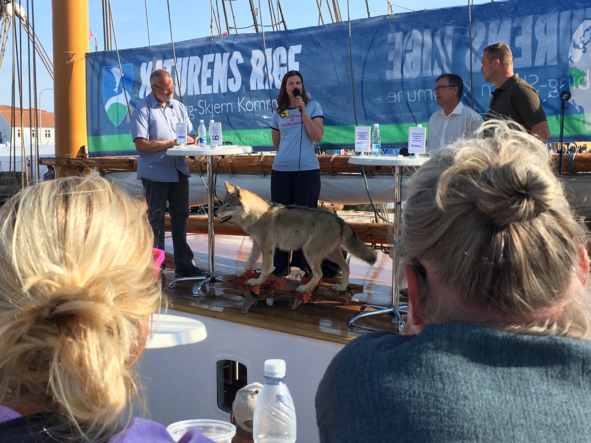 Stærke meningsforskelle i eftermiddagens debat på Folkemødet, hvor Ringkøbing-Skjern Kommune har inviteret Landbrug &amp; Fødevarer, Aarhus Universitet samt Danmarks Jægerforbund. #fmdk #NaturensRige