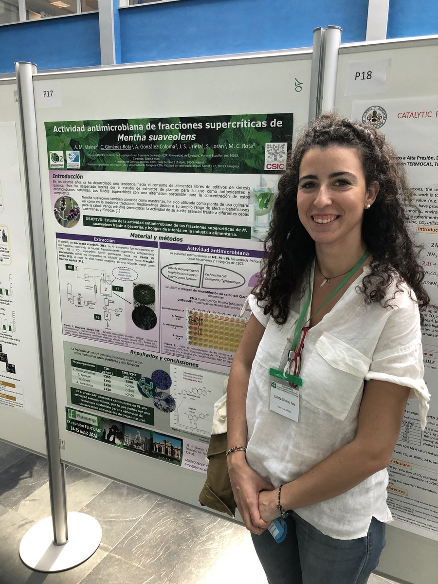 GATHERS_I3A's tweet photo. #FLUCOMP el Dr. Urieta y Carlota Giménez-Rota presentando nuestros trabajos de investigación (@I3Aunizar, @IA2_UZ_CITA, @Salud_USJ, @CSIC) en la IX reunión de expertos en fluidos comprimidos. @CIALCUNAM. https://t.co/NkDkPlZudm https://t.co/jLYCpzYn9S