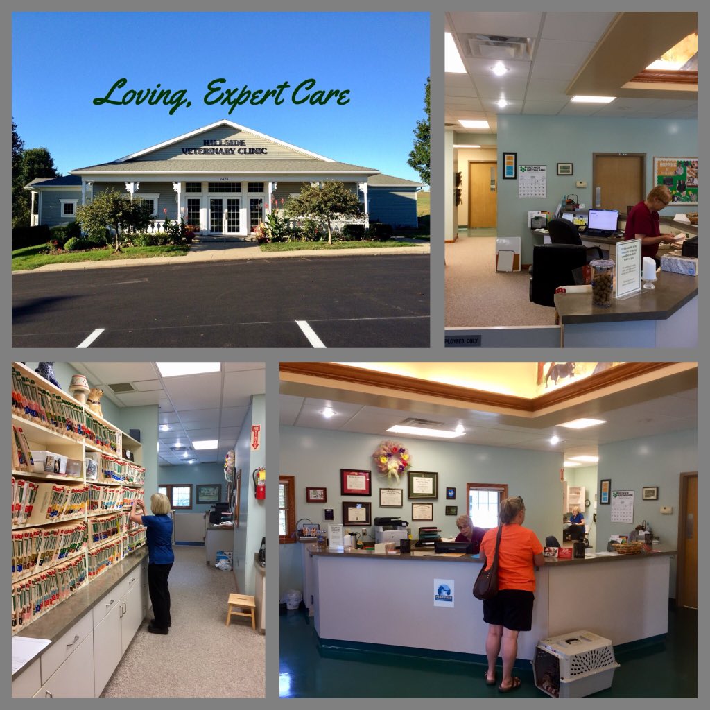 Hillside43050's tweet photo. RECEPTIONIST NEEDED! Hillside Veterinary Clinic has an immediate opening for a full-time receptionist. Management experience a plus. Direct questions and/or submit resumes to our office manager, Nancy. (740) 392-6891 or hvc@hillsidevetclinic.net #lovingexpertcare #mountvernonohio https://t.co/L5OZX1rlzp