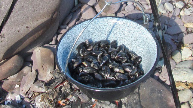 visitwales's tweet photo. Fancy hunting for ‘mermaid confetti’ or foraging for fresh razor clams? Pembrokeshire's best-kept secret is its delicious seashore produce #FindYourEpic https://t.co/veTegzmKcI https://t.co/8hi2Z1yf7P