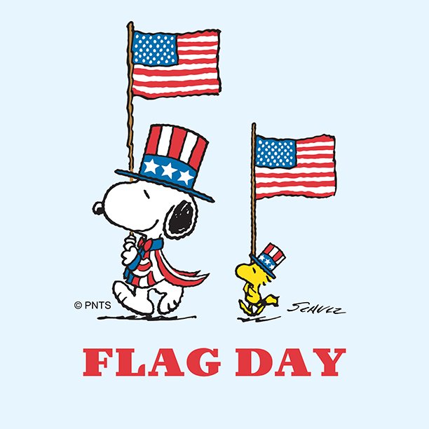 Gib Carson Companies (@gibcarson) on Twitter photo 