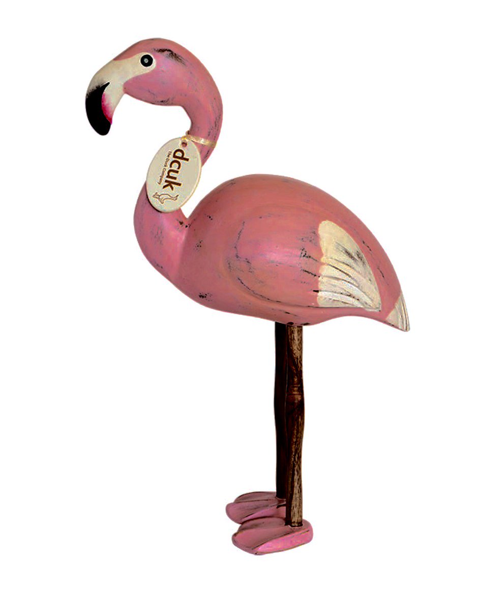 Foxy Ladies tweet media