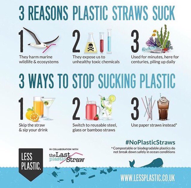 Less Plastic tweet media