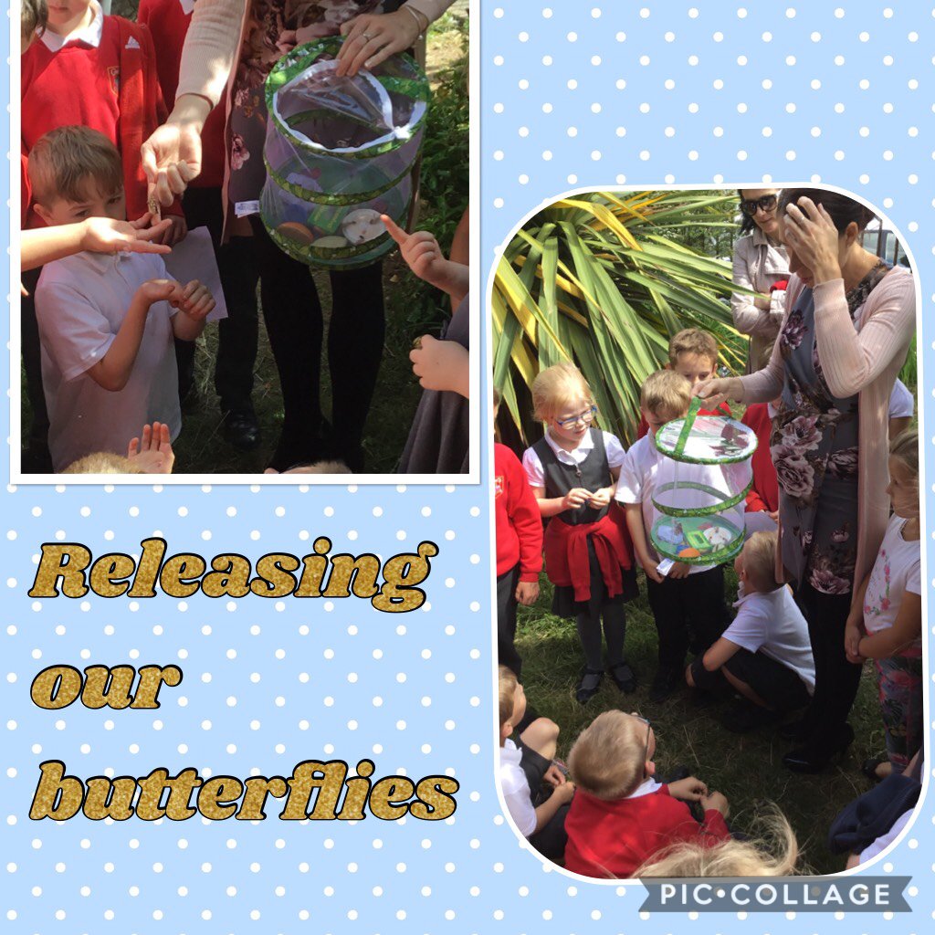 Miss Woods tweet media