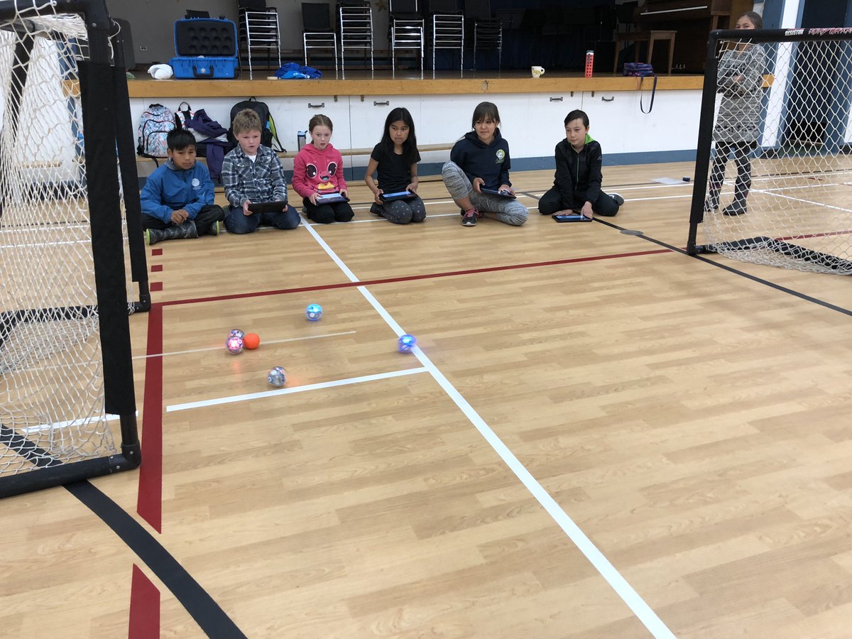 conradsd52's tweet photo. # spherolympics @conradsd52 World Cup fever https://t.co/2VGLvz258E