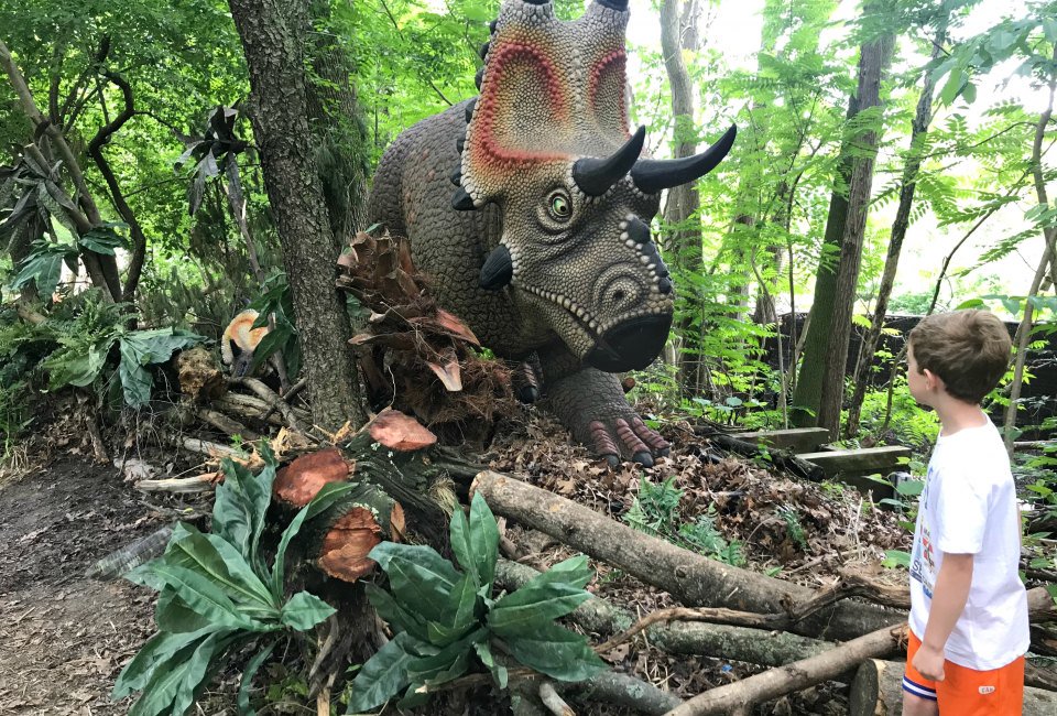 Mommy Poppins Boston on Twitter "Dinosaurs have arrived at