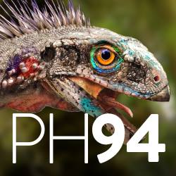 Patrimonio_UGR's tweet photo. #Hoy se publica en #PH94 una reseña sobre el #CuadernoTécnico nº4, en el que aparecen las #coleccionespaleontológicas de @CanalUGR. Puedes descargar el cuaderno en https://t.co/3pEDFyU3FT
y acceder a los contenidos de la revista de @IAPHpatrimonio en https://t.co/DgoY1kgVRH https://t.co/cIPLTWYbyj