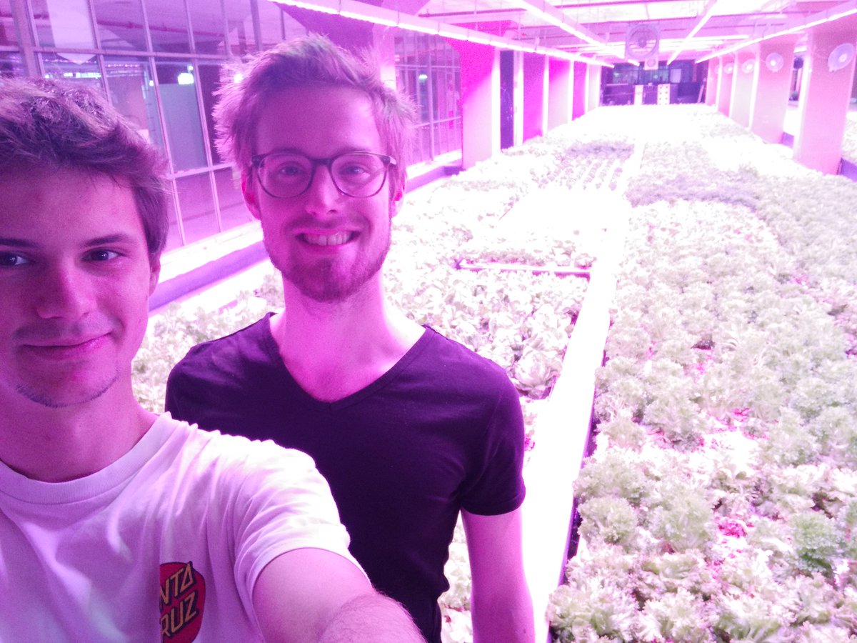 RTschrauwen's tweet image. Today I did some work at Wurmpie Wurmpie, with owner Shasco Laugs. Then visited the Aquaponic farm @Duurzamekost at Strijp-S. If you have the chance you should take a tour. #entrepreneurs #aquaponic #hydroponics