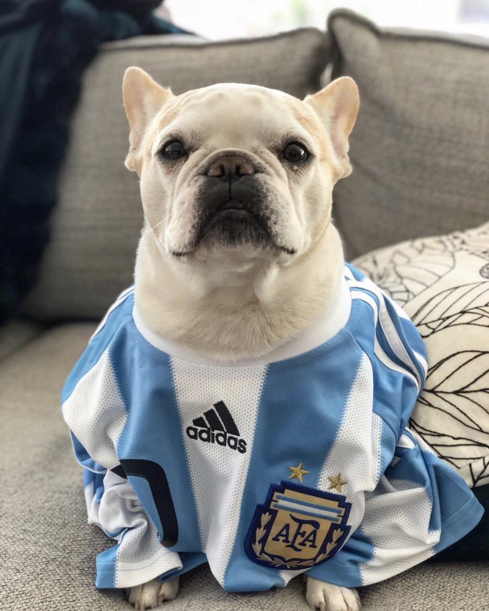 nycfooty's tweet photo. Lola supporting the cause to raise awareness for the 150 million street children around the world. #BringYourKitToWorkDay is today. https://t.co/Dc5w3vYqaE