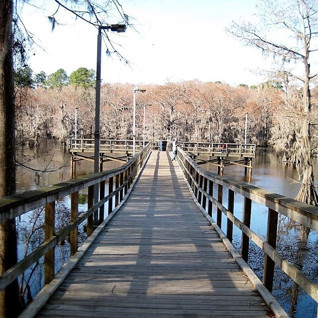 ChetTripper's tweet photo. Take a walk on the weird side today with a tour of one of Texas's strangest lakes. Towering cypress trees and Spanish moss give Caddo Lake an eerie feel and create a winding, yet peaceful, maze through the lake. -
-
@caddolakesp #uncertaintx @visitjeffer… https://t.co/GwLpunaKXz https://t.co/uEw7uIJMOI