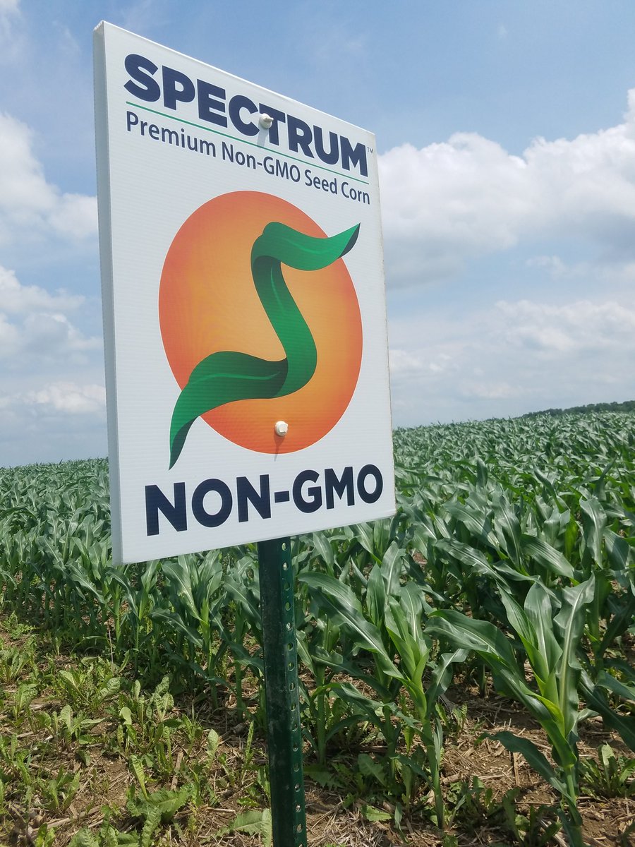 BrentBudreau's tweet photo. Great visit with @driscollmp1 yesterday! #gonongmo @SpectrumSeed https://t.co/xZIVoOCx6y
