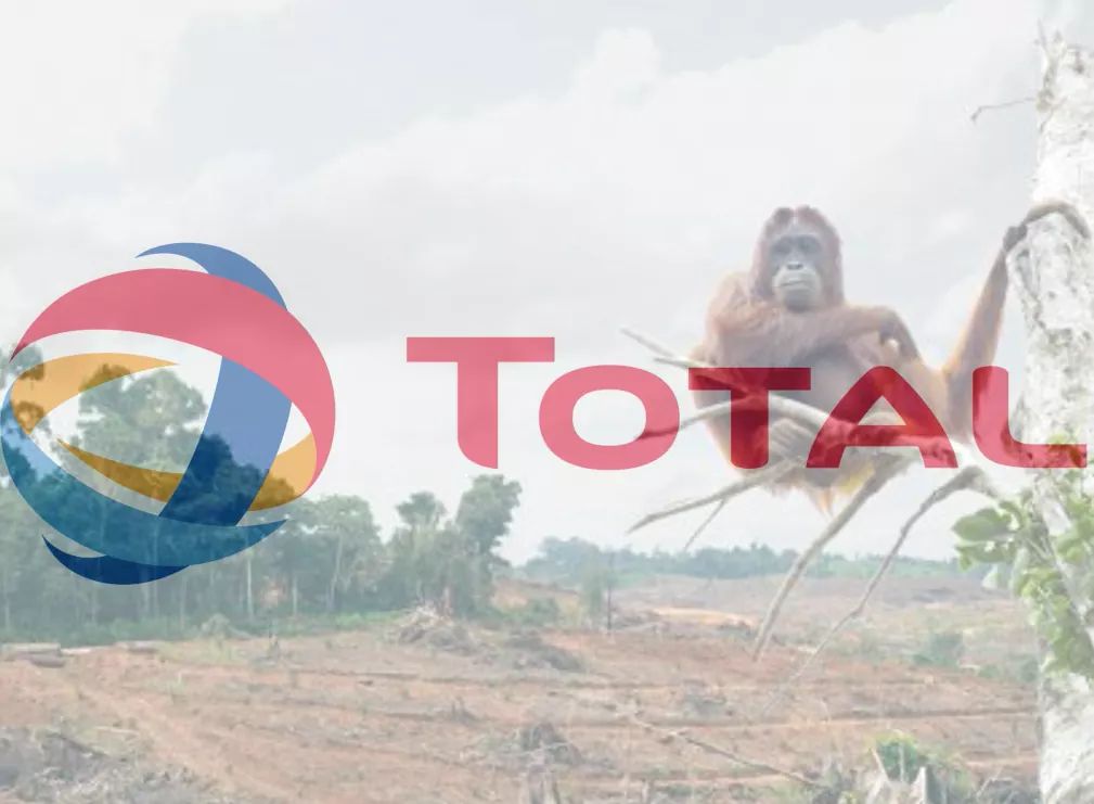 _Naeray's tweet photo. Le #BoycottTotal est lancé. Tweetez plusieurs fois de suite, en masse avec le hashtag, on vous RT.
Si chacun d'entre vous tweet sans s'arrêter on arrivera en TT et on y restera, alors à vos tweets !
Tweetez tous avec le #BoycottTotal ! https://t.co/L6tWyp88BC