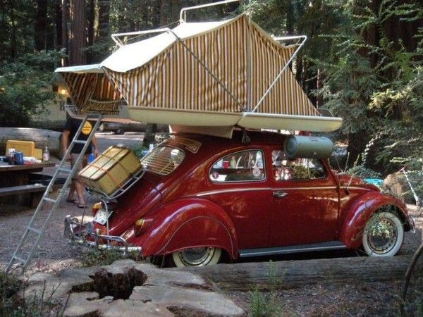 Who wants to go camping?
