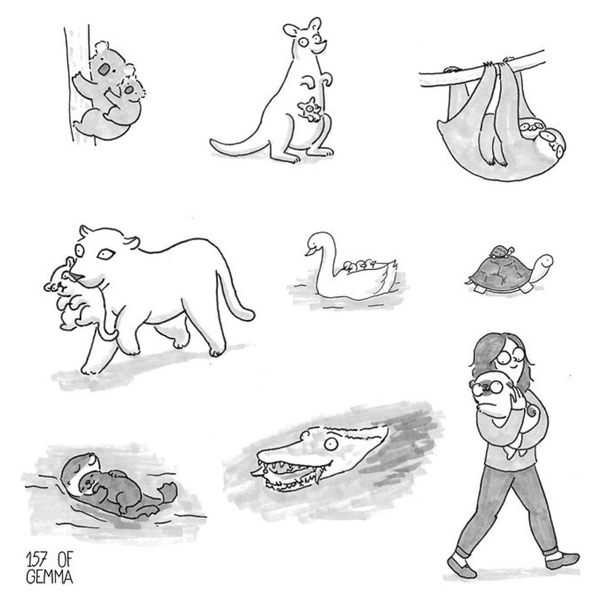 157ofgemma's tweet photo. Babies being carried ❤️
.
#pug #comic #pugcomic #mydogist #mochi #webcomic #comicstrip #animaladicts #mochithepug #mom #baby #instagram #intagrames #157ofgemma https://t.co/gcjxJVQCMy