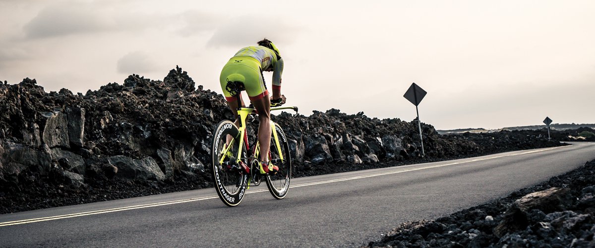 Linsey Corbin tweet media