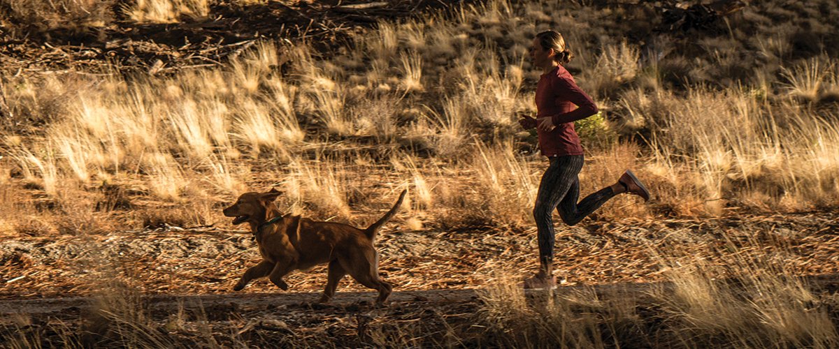 Linsey Corbin tweet media