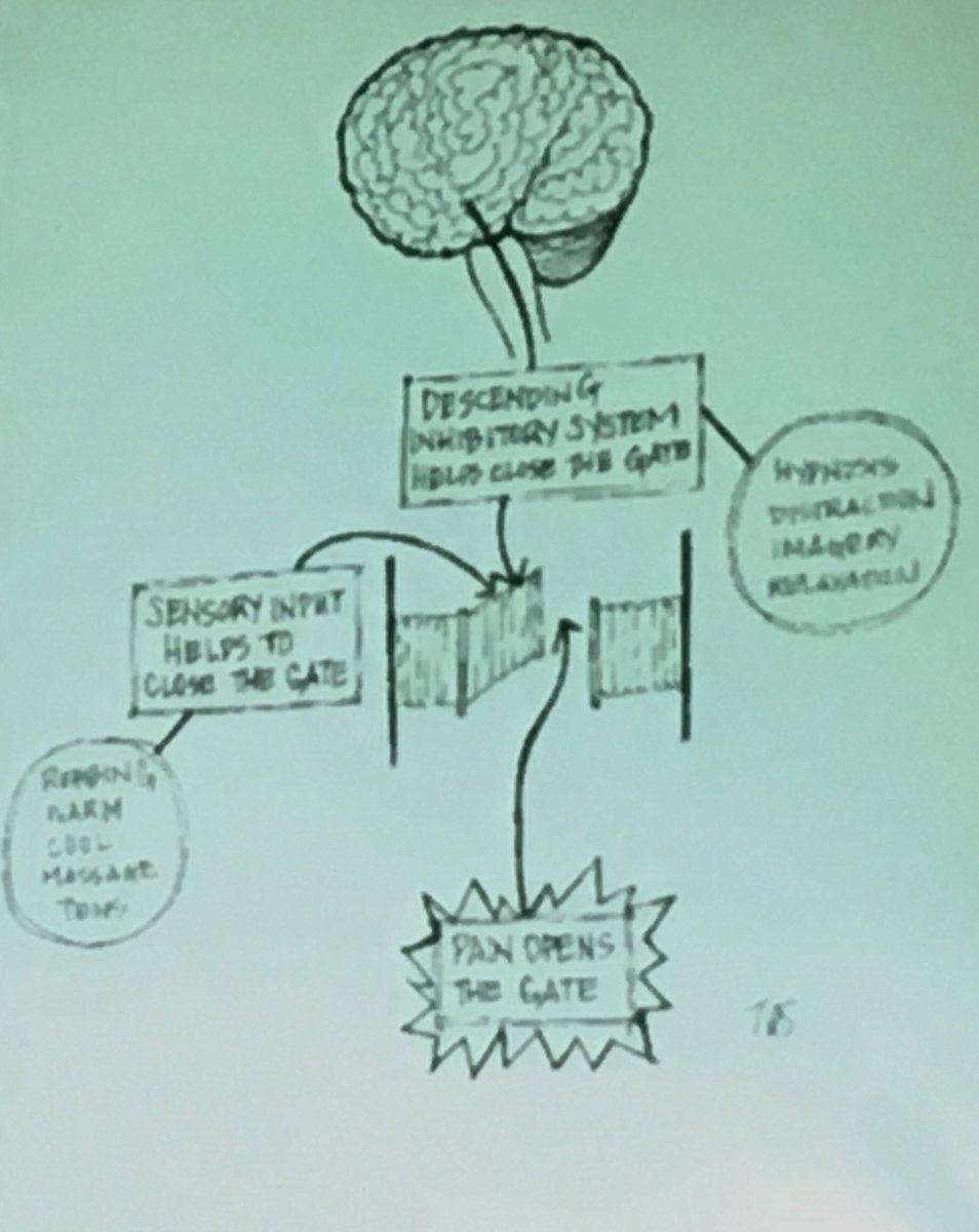 Using metaphors and creativity as a hypnotic technique to change thoughts and improve pain and functioning. Multi modal learning with Prof Leora Kuttner at #PedsPMC.