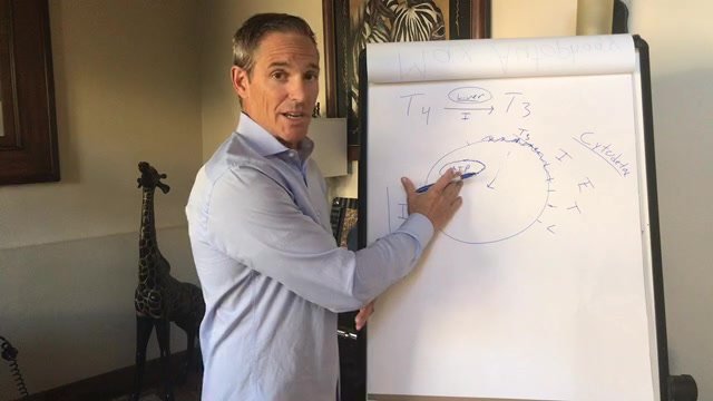 DrDanPompa's tweet image. Transform Your Health Through Fasting + Water Fast Q&amp;amp;A! DISCOVER why your glucose is not dropping, why you still don’t feel well, even with high ketones, and how-to naturally reduce detox symptoms from fasting! #detox #fasting #waterfast #DrPompa HERE: buff.ly/2l9HupN