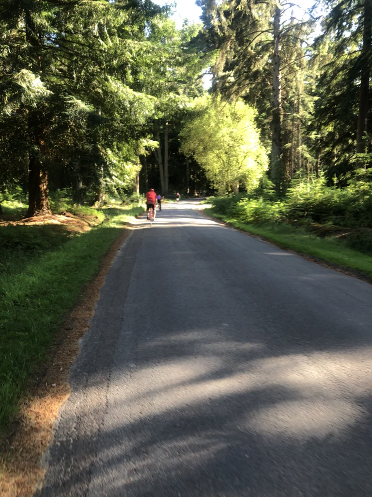 VeryRustyDub's tweet image. Through the Forrest on the #IOW110