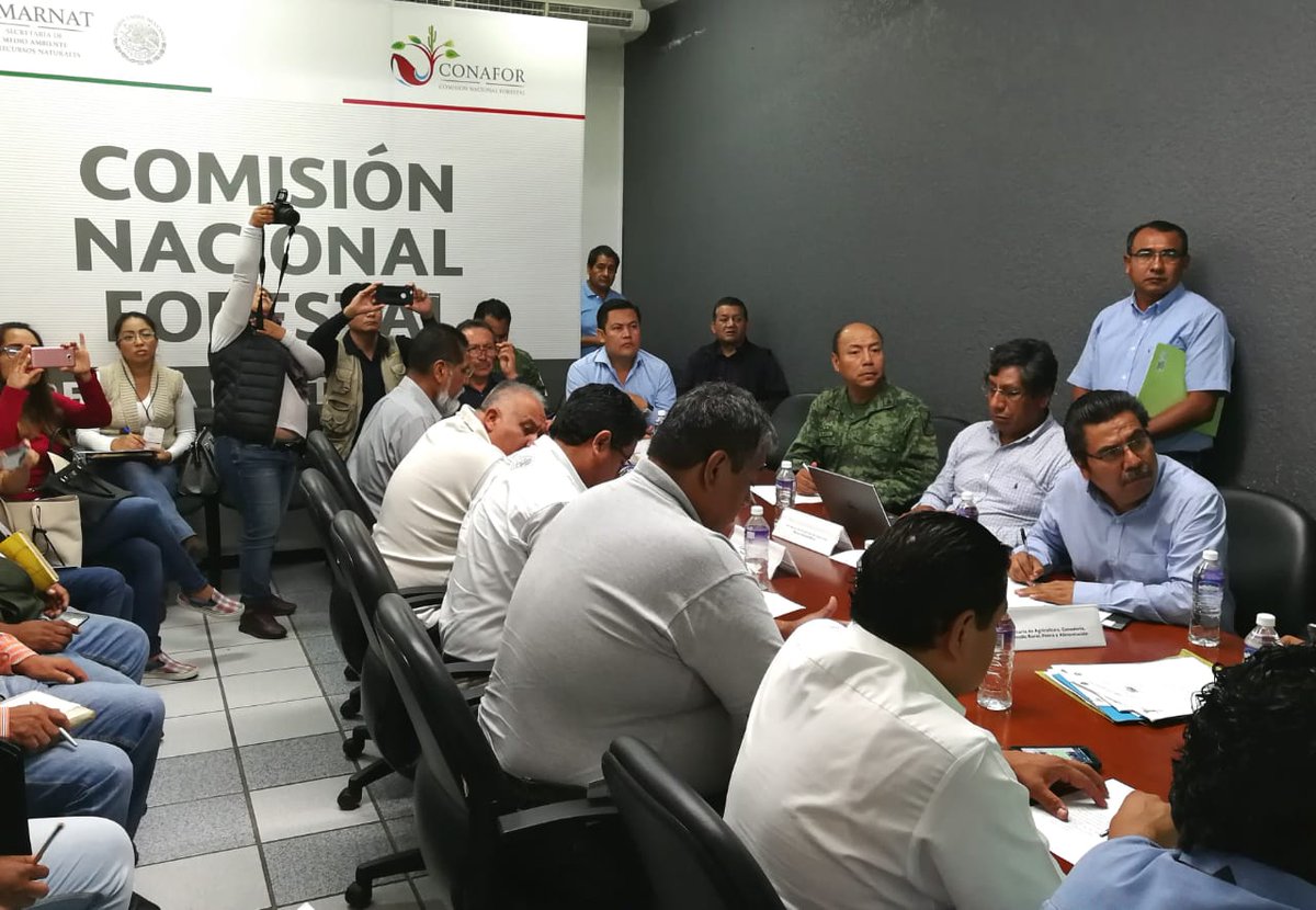Comisión Estatal Forestal tweet media