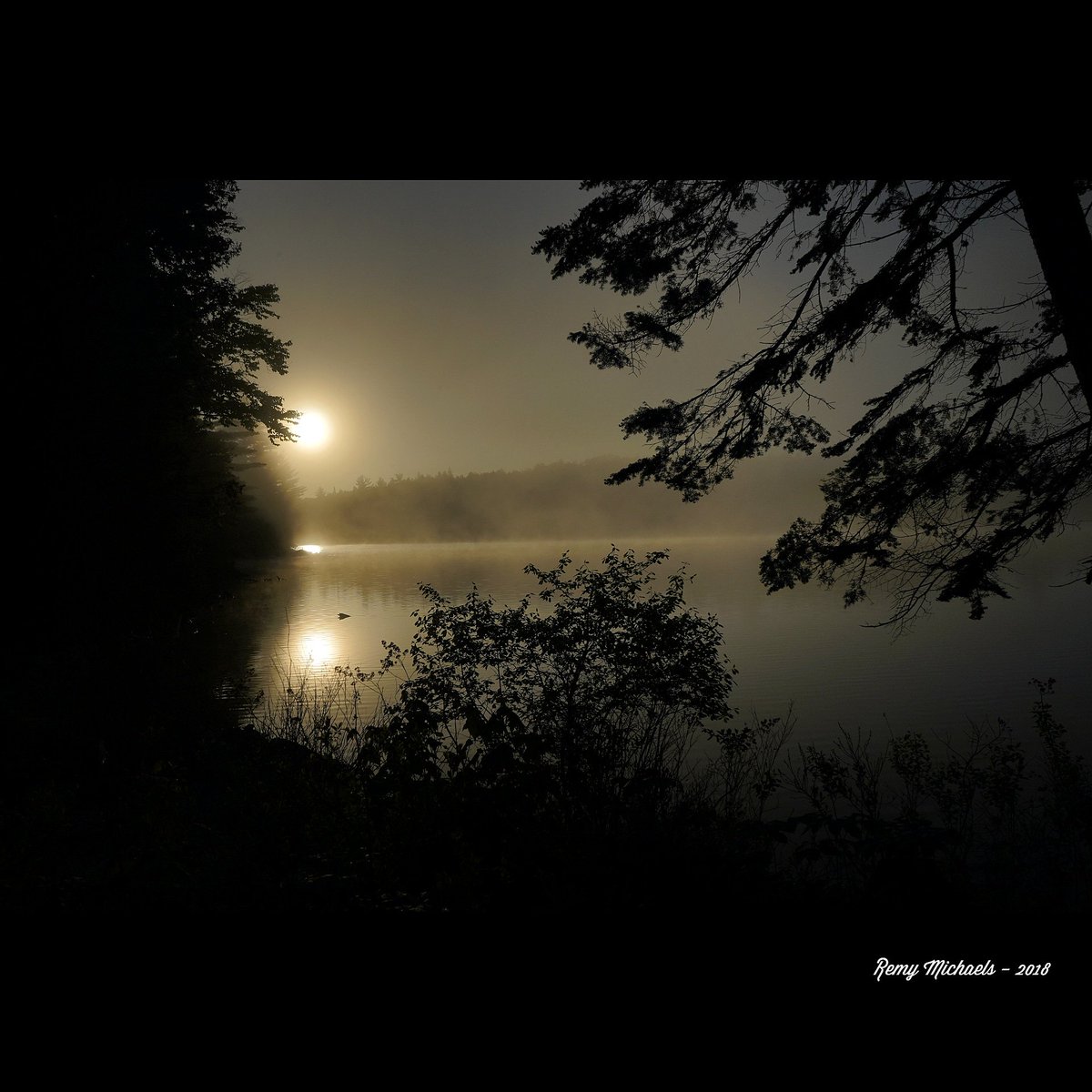 remymichaels's tweet photo. "NORTHERN SUNRISE" https://t.co/gs6VAq0amn #AdventureTrailRunning #AlgonquinPark #Wilderness #Sunrise #PicOfTheDay #Travel #Nature #Muskoka #Huntsville #Survivalist #Zen #Photography #Art #Earth 🌎🙏☀️😎✌️👍🏃💪🌲📸🐾🐈🦌🐿️🐻🦃🐯🦉🐶🐹🐦🐠🐤🦆♥️🇨🇦 https://t.co/wf0kSARU1s