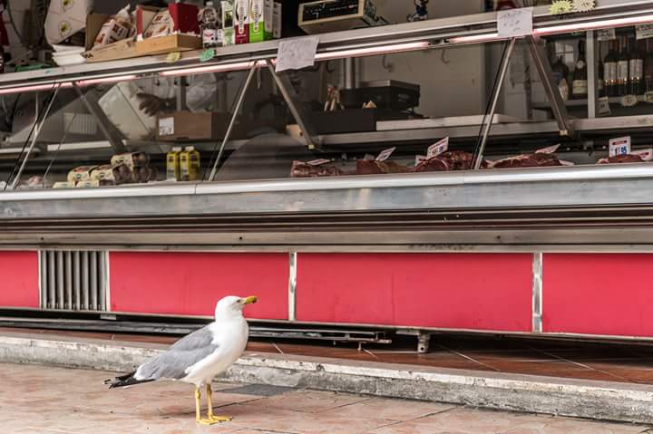 Made in #rome #roma #photography #fotografie <a href="/svfbreda/">SchoolvoorFotografie</a> #schoolvoorfotografie copyright Bob Janssen