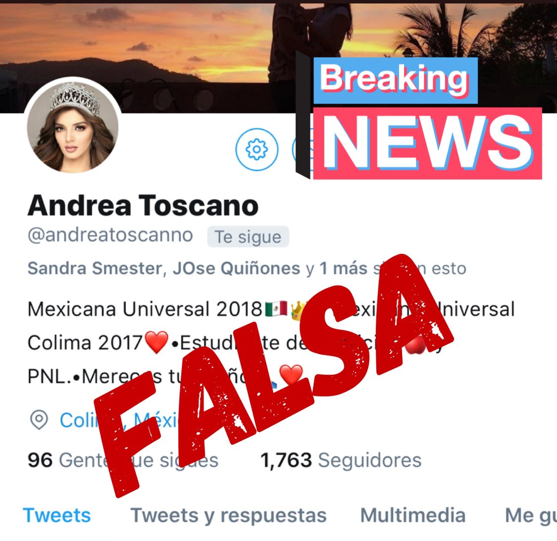 MxU_Puebla's tweet photo. ¡Cuenta falsa! Andrea Toscano sólo usa las cuentas: @OficialMxU y @MxU_Colima https://t.co/bGmddsTyjX