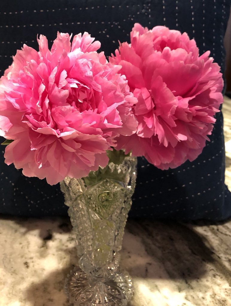 Groz_P's tweet image. A #BitofBeauty from our garden. Peonies came from my grandparents in PA to my parents in NY and now me in MA, making the original plants around 80 years old.