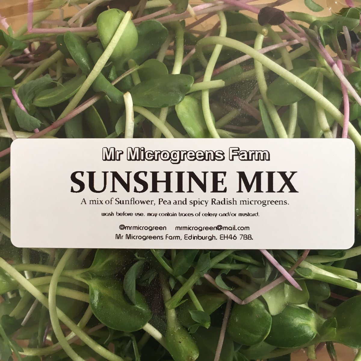 MrMicrogreen's tweet image. Come down to @DiginVeg in Bruntsfield to see all the lovely organic and delicious produce they sell, and of course, because they will be stocking our microgreens! #local #tasty #microgreens #edinburgh  #growiteatitloveit