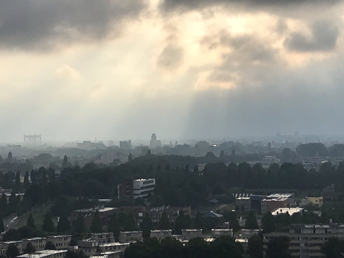 Mooi Dordt vanaf de Seqouoia