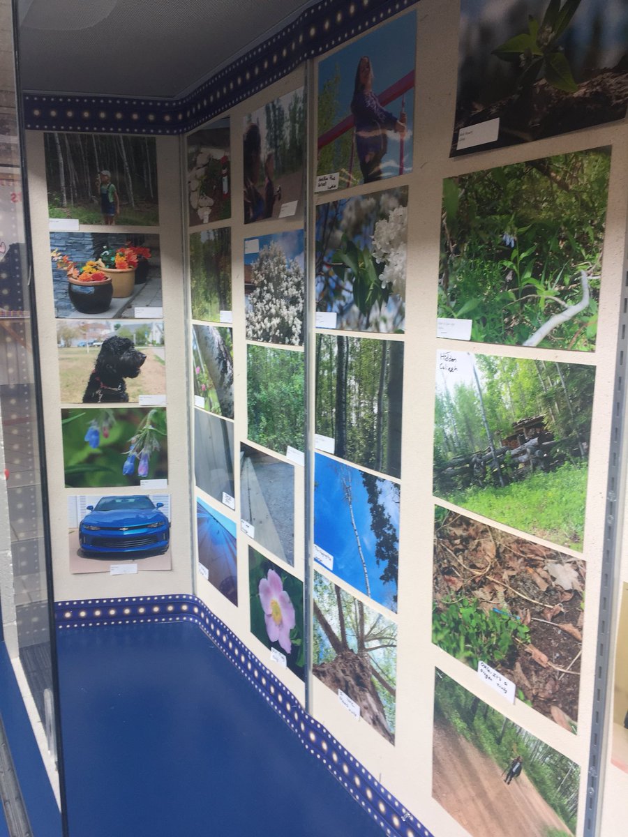 w_adelle's tweet photo. So proud of @TimberleaSchool photography club! Come check out their exhibit https://t.co/AnHpS0Kx6z