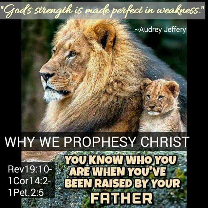 30weylst's tweet photo. "Every day our Father, whose grace is sufficient, demonstrates His faithfulness to strengthen His children through Christ Jesus. Apostle Earl Greutman

https://t.co/rQzWchDSN9    https://t.co/OFK7cmFK4y

#quoteoftheday #dreams #prophet #God #faithwalk #keepthecommandment https://t.co/vkC9FFVNil