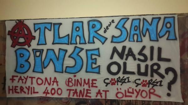 forzabesiktas's tweet photo. Atlar Sana Binse Nasıl Olur?
Her Yıl 400 Tane At Ölüyor! Faytona Binme... #çArşı
#faytonabinmeatlarölüyor https://t.co/Q5lmRvd2Ai