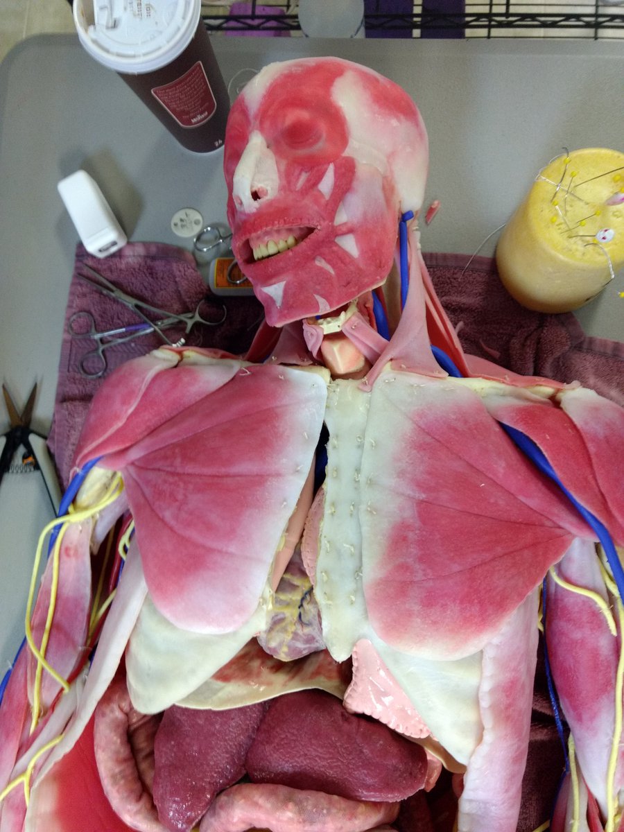 Busy and productive week at headquarters will be in #sanfrancisco next week! Why? Follow me here  to find out! #practiceperfectly #medsim