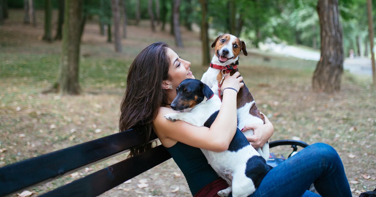 ProTechOhio's tweet photo. Using a #petsitter while out of town? Give them a temporary user code so you can keep your @DMPalarms system armed while they care for your animals. Arm/disarm your system from anywhere using your Virtual Keypad app! #DMPtips #safetytips #virtualkeypadapp https://t.co/U9K90RZS1S