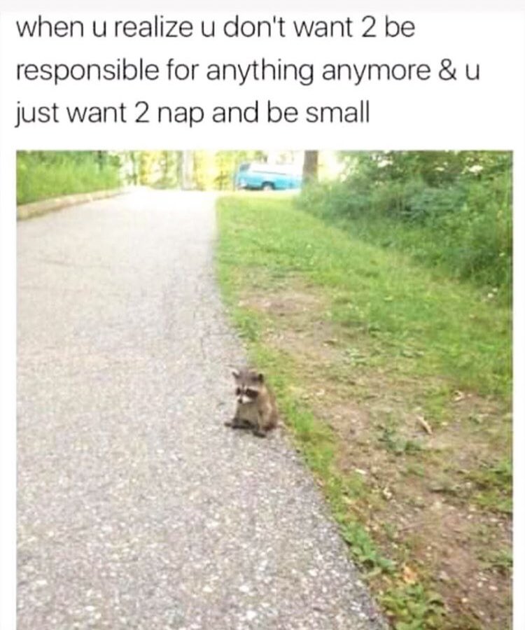 abbyote's tweet image. Every shade of me