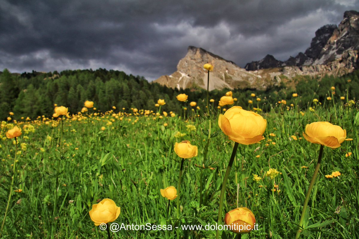 AntonSessa's tweet photo. #Summer2018 loading completed in #Dolomites #ValdiFassa #Italy @DolomitesUNESCO @VisitTrentino @3BMeteo @lonelyplanet_it https://t.co/PBmdRVxv4e